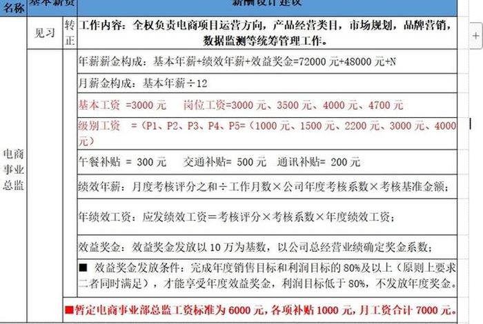 电商运营团队薪酬设计(电商运营团队薪酬设计模板) 电商运营团队薪酬设计(电商运营团队薪酬设计模板)