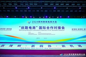 丝路电商国家推出的运营平台 丝路电商国家推出的运营平台有哪些