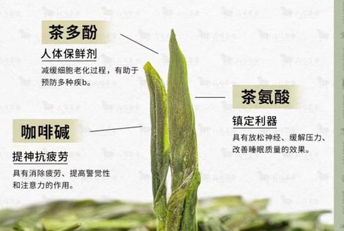 茶叶三证是哪三证;茶叶三证是哪三证图片 茶叶三证是哪三证;茶叶三证是哪三证图片
