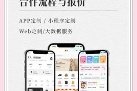 电商app开发定制 电商app开发定制方案
