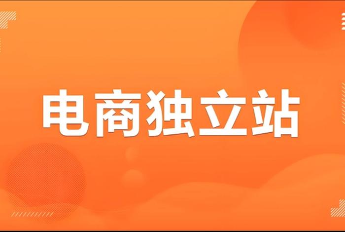 电商独立站是什么意思、独立站是b2c吗