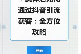 做电商平台怎么引流 做电商平台怎么引流到抖音