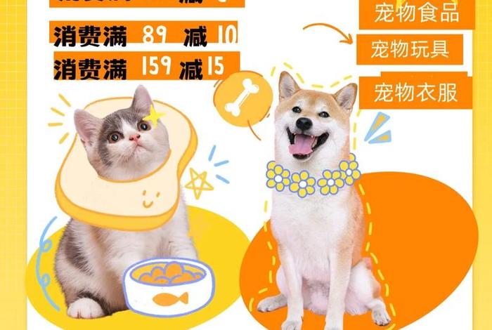 宠物用品电商货源哪里找，宠物用品货源从哪里来