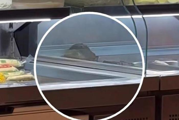 电商平台回应矿泉水箱内有老鼠了 - 电商平台回应矿泉水箱内有老鼠一 电商平台回应矿泉水箱内有老鼠了 - 电商平台回应矿泉水箱内有老鼠一