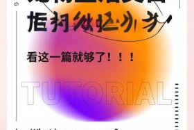 宠物用品电商属于什么类目、宠物用品电商属于什么类目的