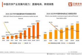 2024年双11各大电商平台销售数据（2020双11各大电商平台销售数据）