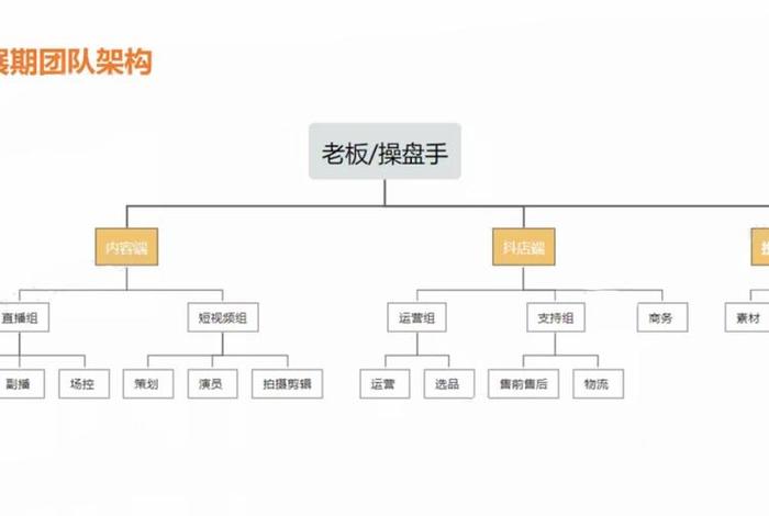电商运营团队分工，电商运营团队分工方案