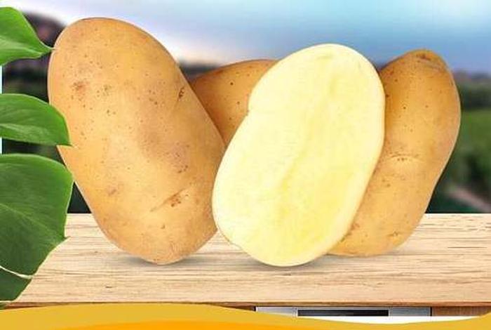 电商土特产，电商土特产怎么做