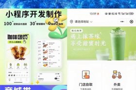 电商开发小程序（电商小程序软件开发）