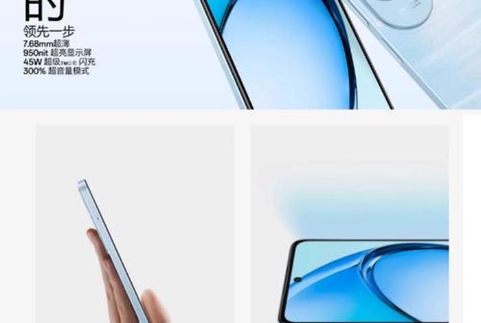 电商版手机（大陆电商版手机）