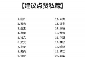 电商号（电商号取名）