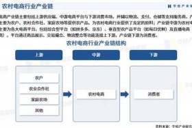 农村电商的现状及问题，农村电商的现状及问题研究