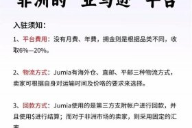 jumia非洲电商平台官网（非洲电商jumia现状）