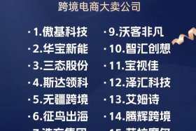 深圳跨境电商公司推荐 - 深圳跨境电商公司推荐有哪些