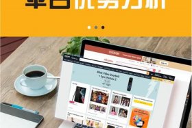 电商平台需要哪些；电商平台需要哪些呢