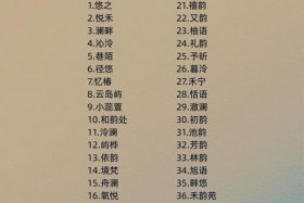 100个跨境电商名字、100个跨境电商名字带常字的店铺