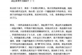 电商作文600字；电商作文800字