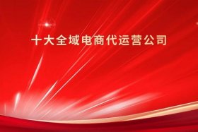 电商运营代理公司 电商代运营公司100强
