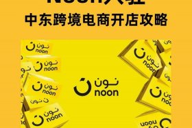 电商是什么平台（noon是什么电商平台）