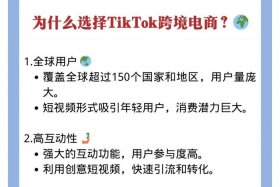tiktok电商平台；tiktok电商平台叫什么
