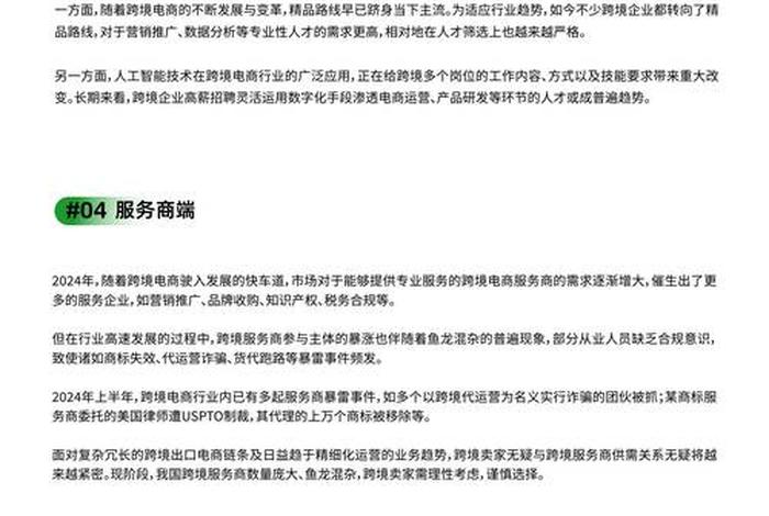 跨境电商产品分析报告 跨境电商产品行业调研报告 跨境电商产品分析报告 跨境电商产品行业调研报告