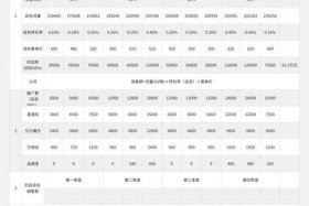 电商中心运营规划方案、电商中心运营规划方案模板