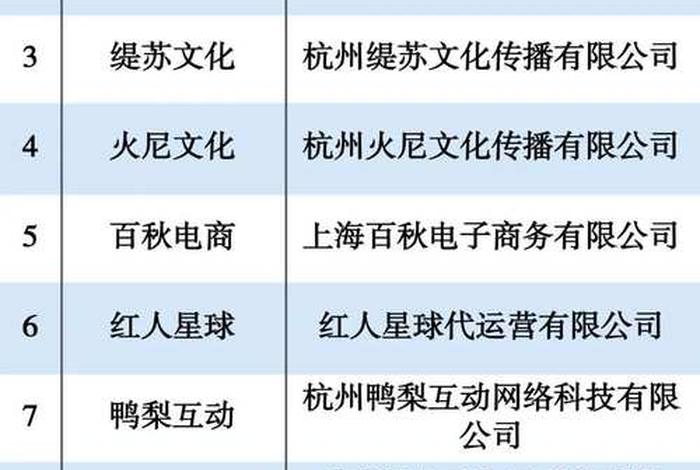 上海做电商的公司 上海做电商的公司排行榜 上海做电商的公司 上海做电商的公司排行榜