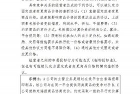 电商平台二选一反垄断规制 - 电商平台二选一是否构成垄断