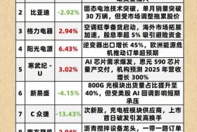 十大外贸电商平台股票有哪些，十大外贸电商平台股票有哪些龙头