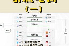 电商平台引流推广；电商平台引流推广怎么做