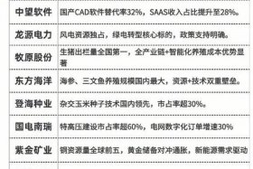 夸境电商股票，夸境电商股票有哪些