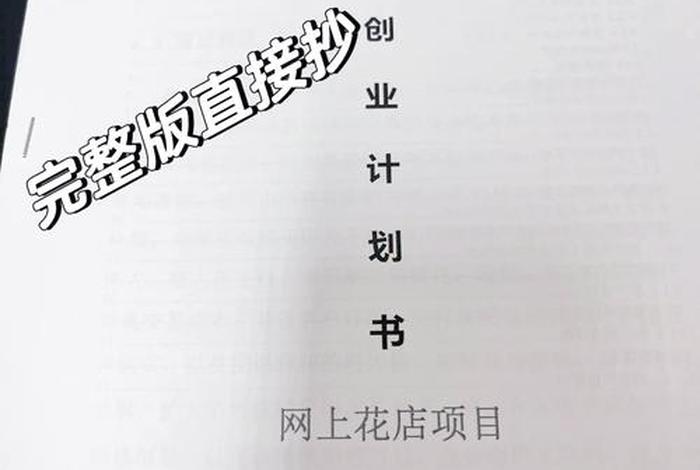 电商类创业；电商类创业计划书