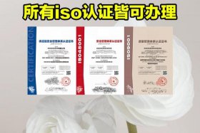 广东电商企业iso认证预审（广东电商企业iso认证预审要多久）