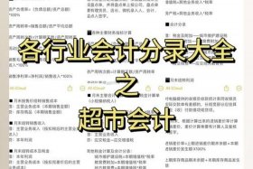 电商优惠券怎么做会计分录，电商优惠券怎么做会计分录的
