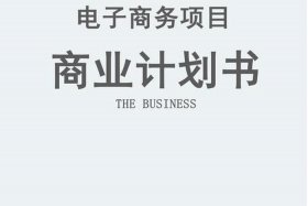 电商规划ppt - 电商规划书