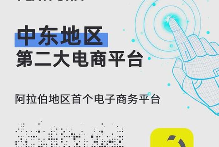 中东电商平台noon.com显示的货币是什么、中东电商市场的主流付款方式是什么 中东电商平台noon.com显示的货币是什么、中东电商市场的主流付款方式是什么