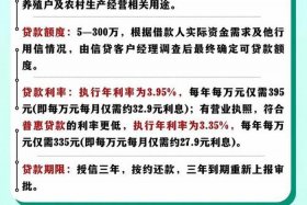 农商银行贷款电审，农商银行贷款电审通过率高吗