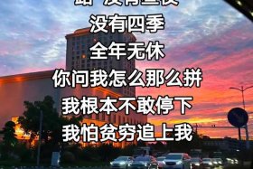 干电商好不好 干电商好不好赚钱