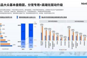 电商项目的市场前景；电商项目的市场前景如何