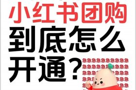 小红书商品入驻，小红书商品入驻要钱吗