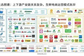 县域电商十大模式，县域电商的基本模式