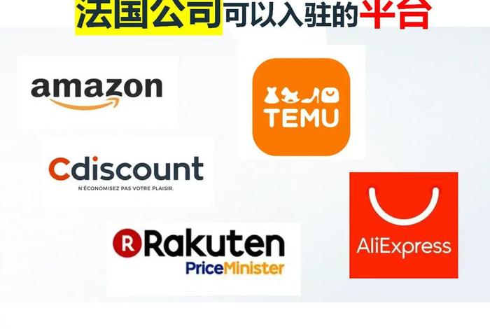 法国电商平台vesi、法国电商平台c-discount