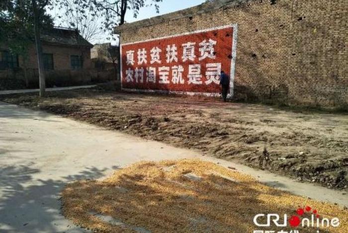 电商农业app；电商农业的出现减少留守儿童