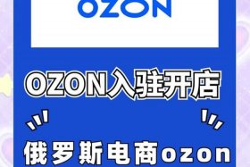 俄罗斯电商平台ozon适合卖什么商品；俄罗斯电商平台ozon中文