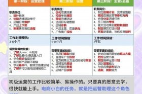 电商运营知识储备 电商运营知识储备怎么写