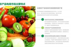 农产品电商销售渠道，农产品电商销售渠道主要包括哪些内容