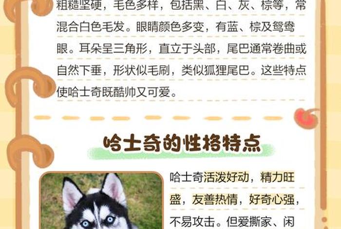 哈士奇电商插件有什么用;哈士奇电商插件有什么用处 哈士奇电商插件有什么用;哈士奇电商插件有什么用处