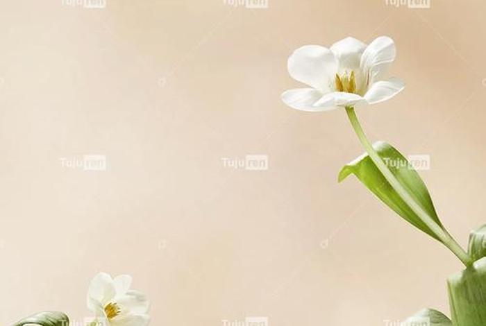 电商网图 - 电商网图背景