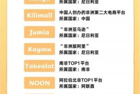 非洲电商平台分析（非洲知名电商平台）