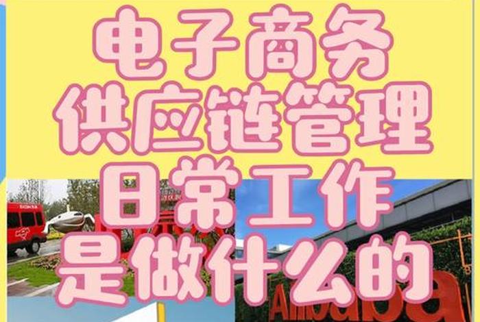 电商供应商是什么意思 - 电商供应商是什么意思啊